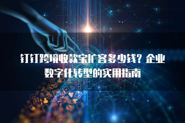 钉钉跨境收款宝扩容多少钱?企业数字化转型的实用指南