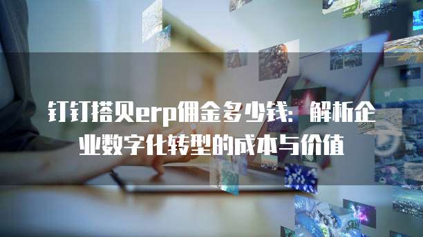 钉钉搭贝erp佣金多少钱：解析企业数字化转型的成本与价值