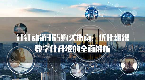 钉钉动销365购买指南:优化组织数字化升级的全面解析