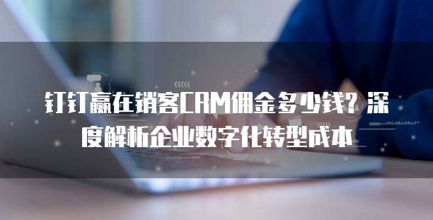 钉钉赢在销客CRM佣金多少钱?深度解析企业数字化转型成本
