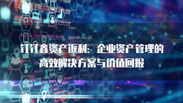 钉钉鑫资产返利:企业资产管理的高效解决方案与价值回报