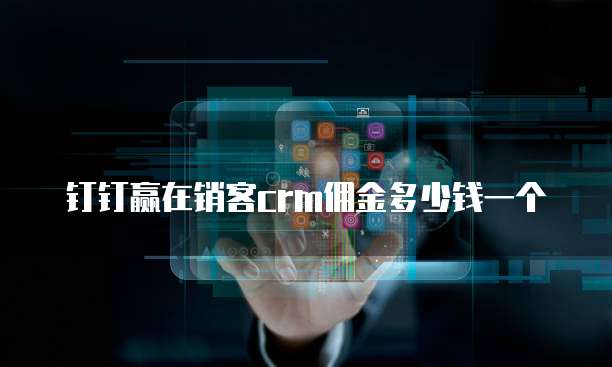 钉钉赢在销客crm佣金多少钱一个