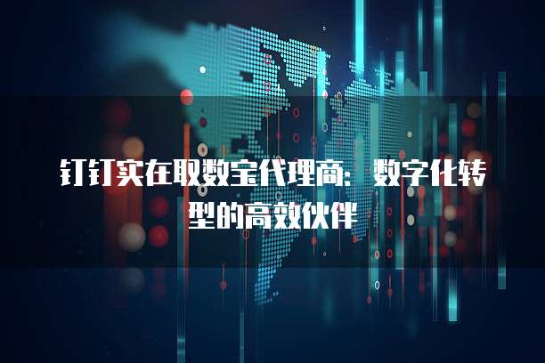 钉钉实在取数宝代理商：数字化转型的高效伙伴