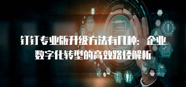 钉钉专业版升级方法有几种:企业数字化转型的高效路径解析