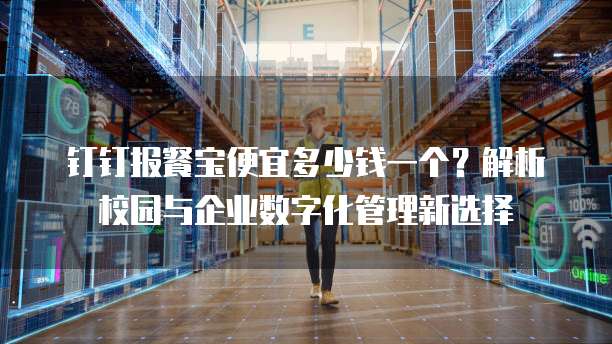 钉钉报餐宝便宜多少钱一个？解析校园与企业数字化管理新选择