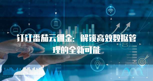 钉钉番茄云佣金:解锁高效数据管理的全新可能