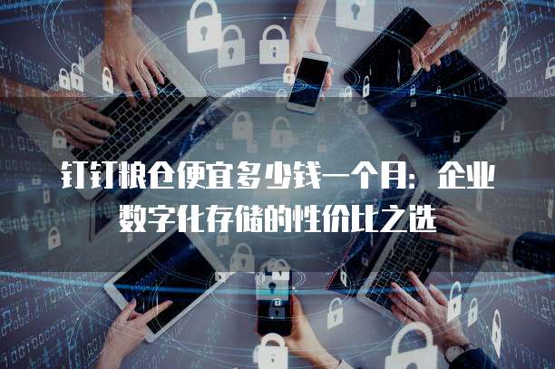 钉钉粮仓便宜多少钱一个月:企业数字化存储的性价比之选