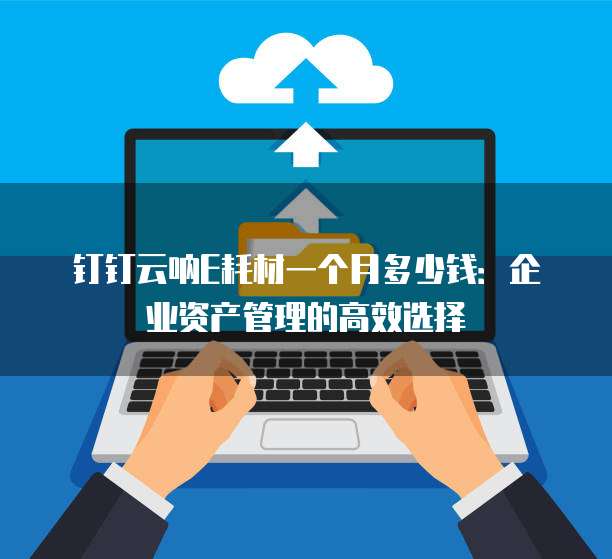 钉钉云呐E耗材一个月多少钱:企业资产管理的高效选择