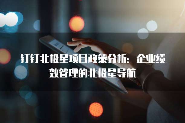 钉钉北极星项目政策分析：企业绩效管理的北极星导航