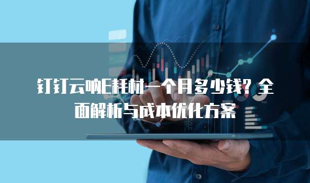 钉钉云呐E耗材一个月多少钱?全面解析与成本优化方案