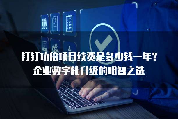钉钉功倍项目续费是多少钱一年?企业数字化升级的明智之选
