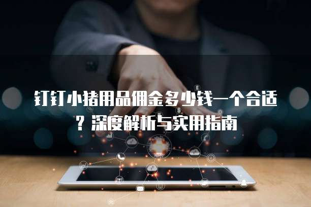 钉钉小猪用品佣金多少钱一个合适?深度解析与实用指南