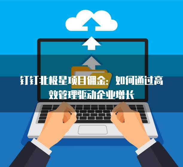 钉钉北极星项目佣金:如何通过高效管理驱动企业增长