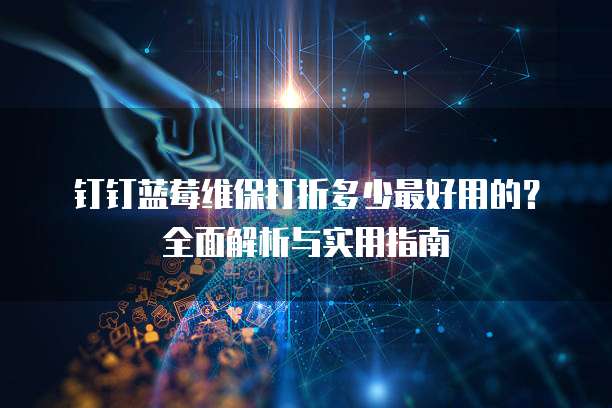 钉钉蓝莓维保打折多少最好用的?全面解析与实用指南