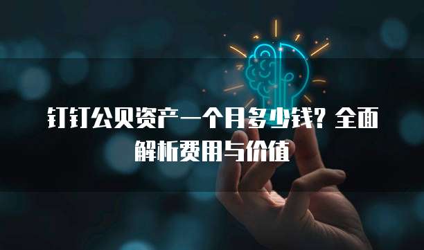 钉钉公贝资产一个月多少钱?全面解析费用与价值
