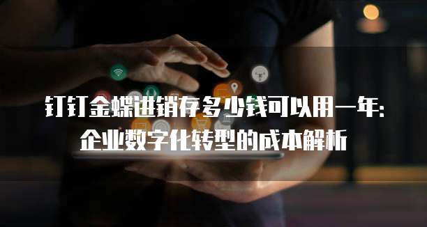 钉钉金蝶进销存多少钱可以用一年:企业数字化转型的成本解析