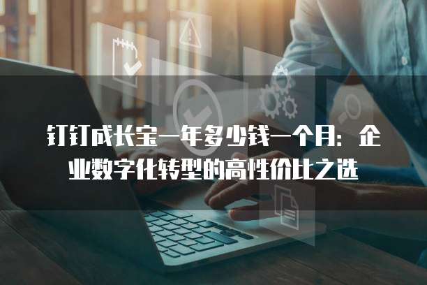 钉钉成长宝一年多少钱一个月:企业数字化转型的高性价比之选