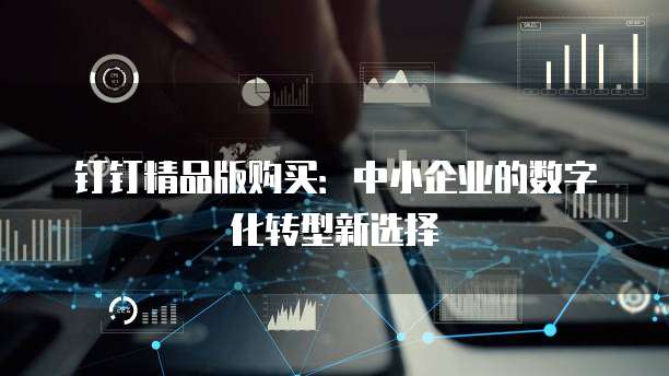 钉钉精品版购买：中小企业的数字化转型新选择