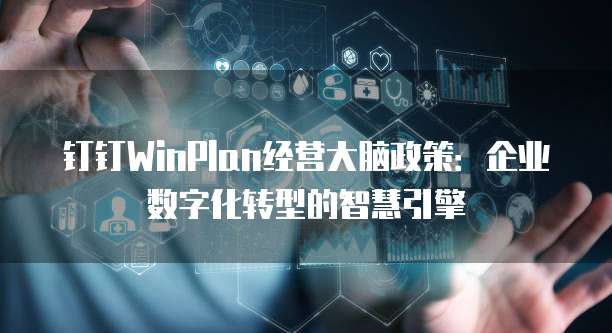 钉钉WinPlan经营大脑政策:企业数字化转型的智慧引擎