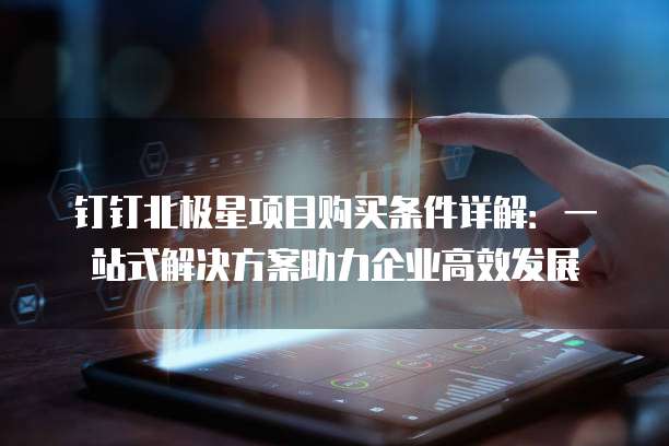 钉钉北极星项目购买条件详解:一站式解决方案助力企业高效发展