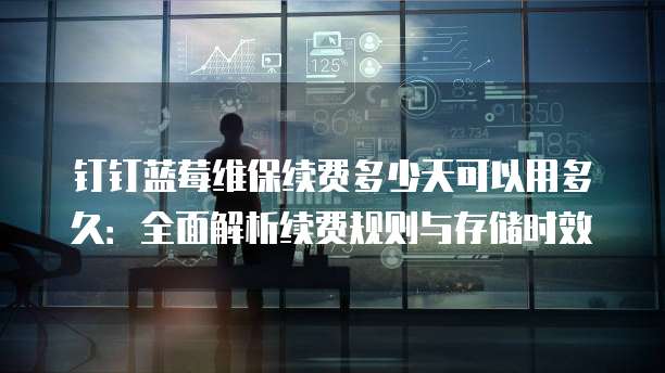 钉钉蓝莓维保续费多少天可以用多久:全面解析续费规则与存储时效