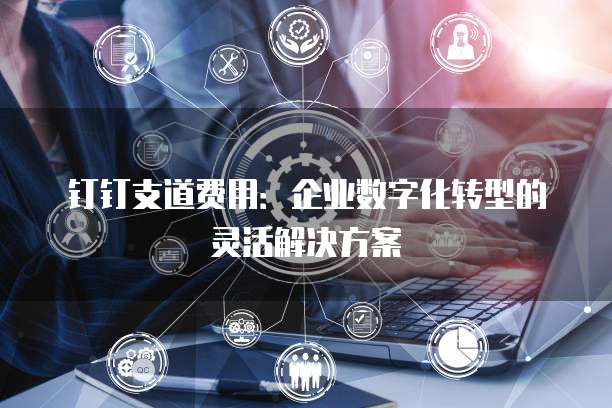 钉钉支道费用：企业数字化转型的灵活解决方案