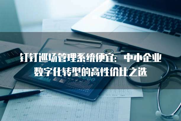 钉钉巡场管理系统便宜：中小企业数字化转型的高性价比之选