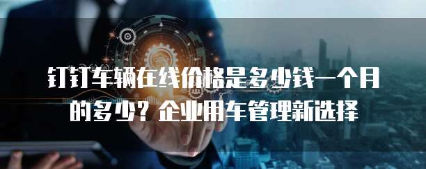 钉钉车辆在线价格是多少钱一个月的多少?企业用车管理新选择