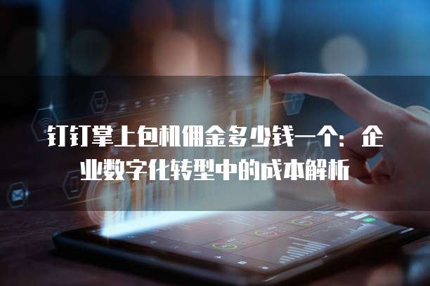 钉钉掌上包机佣金多少钱一个:企业数字化转型中的成本解析
