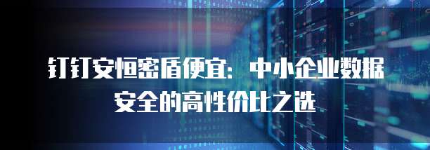 钉钉安恒密盾便宜:中小企业数据安全的高性价比之选