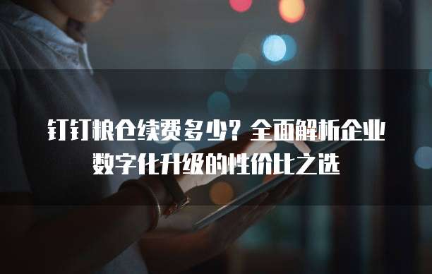 钉钉粮仓续费多少?全面解析企业数字化升级的性价比之选