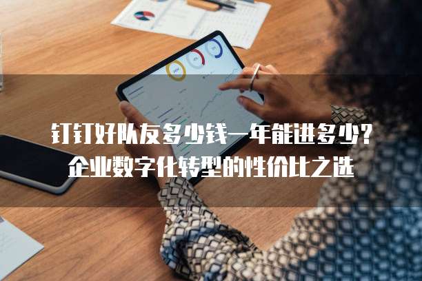 钉钉好队友多少钱一年能进多少？企业数字化转型的性价比之选