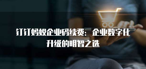 钉钉蚂蚁企业码续费:企业数字化升级的明智之选