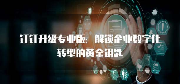 钉钉升级专业版:解锁企业数字化转型的黄金钥匙