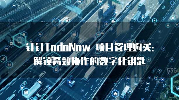 钉钉TodoNow 项目管理购买：解锁高效协作的数字化钥匙