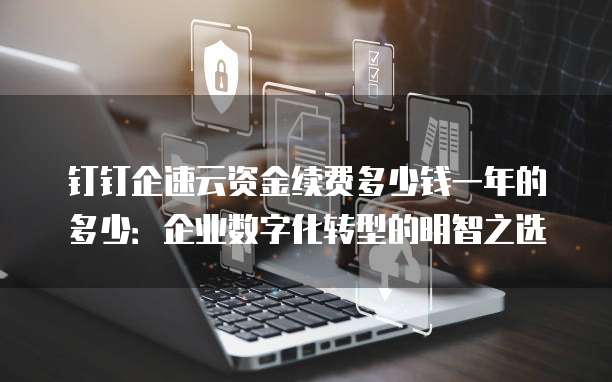钉钉企速云资金续费多少钱一年的多少:企业数字化转型的明智之选