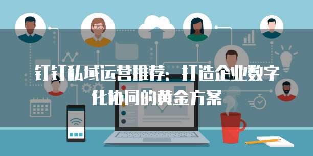 钉钉私域运营推荐:打造企业数字化协同的黄金方案
