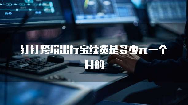 钉钉跨境出行宝续费是多少元一个月的