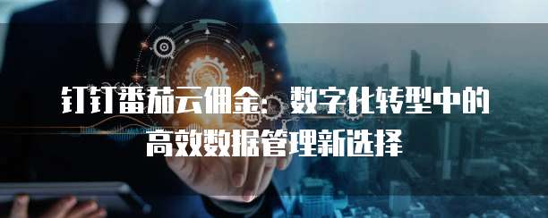 钉钉番茄云佣金:数字化转型中的高效数据管理新选择