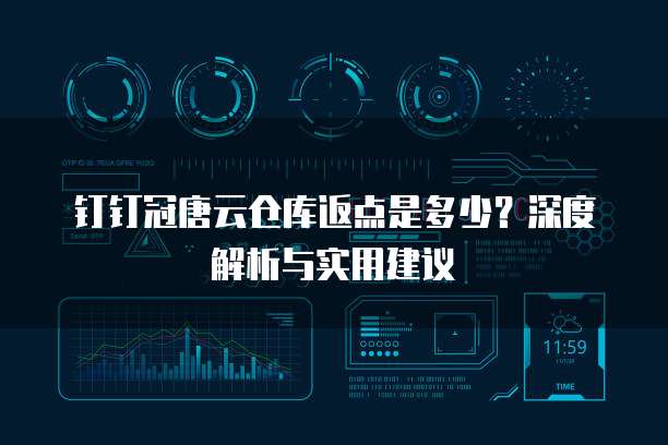 钉钉冠唐云仓库返点是多少?深度解析与实用建议