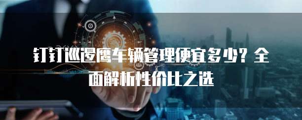 钉钉巡逻鹰车辆管理便宜多少？全面解析性价比之选