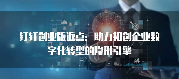 钉钉创业版返点:助力初创企业数字化转型的隐形引擎