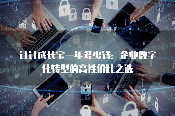 钉钉成长宝一年多少钱:企业数字化转型的高性价比之选