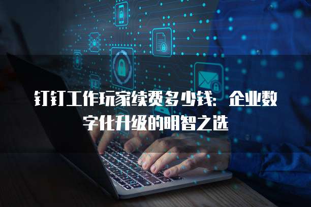钉钉工作玩家续费多少钱:企业数字化升级的明智之选