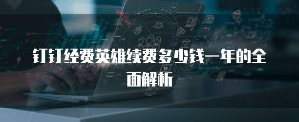 钉钉经费英雄续费多少钱一年的全面解析