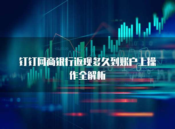 钉钉网商银行返现多久到账户上操作全解析
