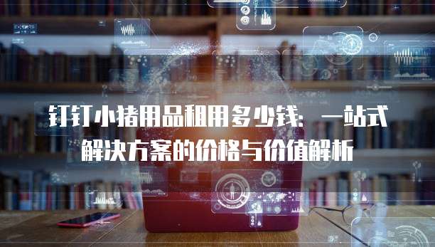 钉钉小猪用品租用多少钱:一站式解决方案的价格与价值解析