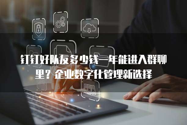 钉钉好队友多少钱一年能进入群聊里?企业数字化管理新选择