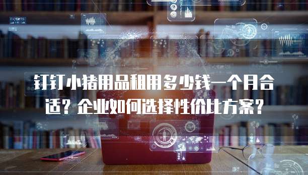 钉钉小猪用品租用多少钱一个月合适?企业如何选择性价比方案?