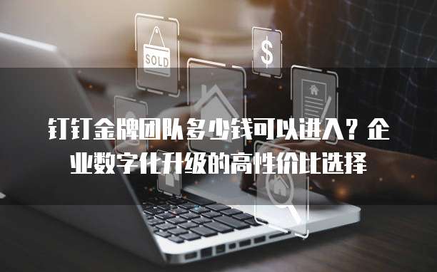 钉钉金牌团队多少钱可以进入?企业数字化升级的高性价比选择
